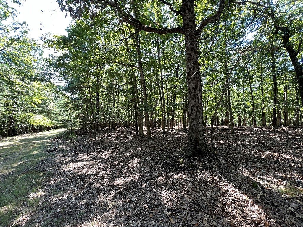 Shadow Ridge Rd #98 Kansas, OK 74347 - Thumbnail 3