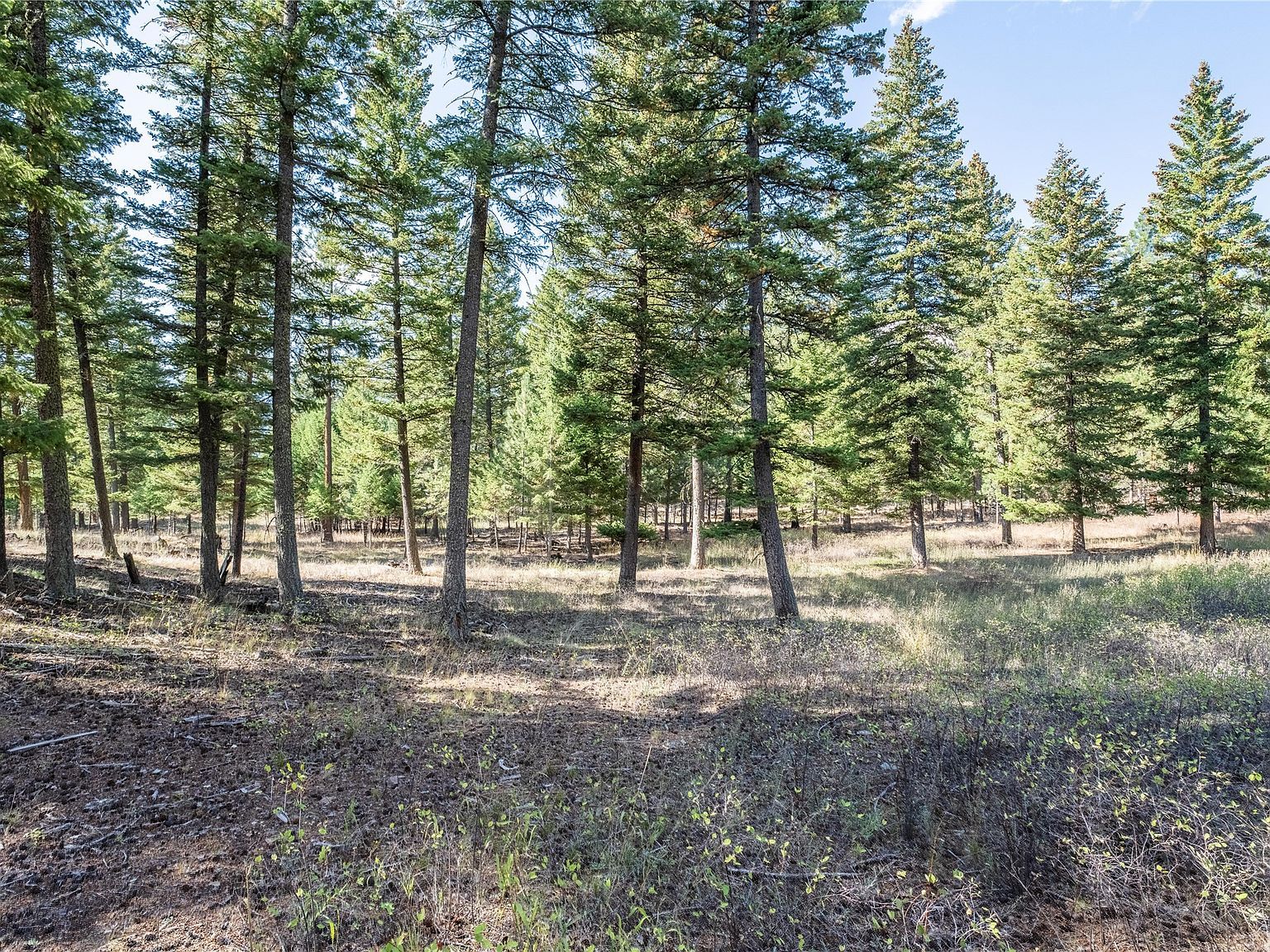 LOT 17 Caddisfly Ct Clinton, MT 59825 - Thumbnail 3