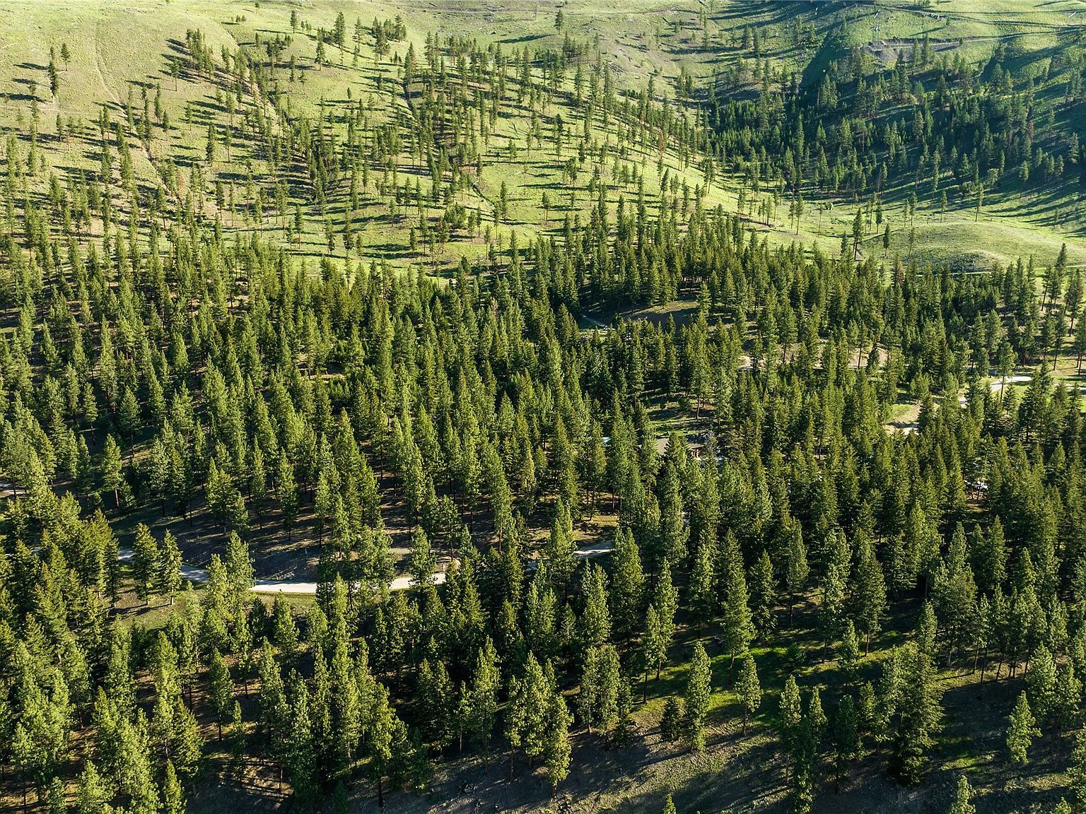 LOT 12 Stonefly Rd Clinton, MT 59825 - Thumbnail 3