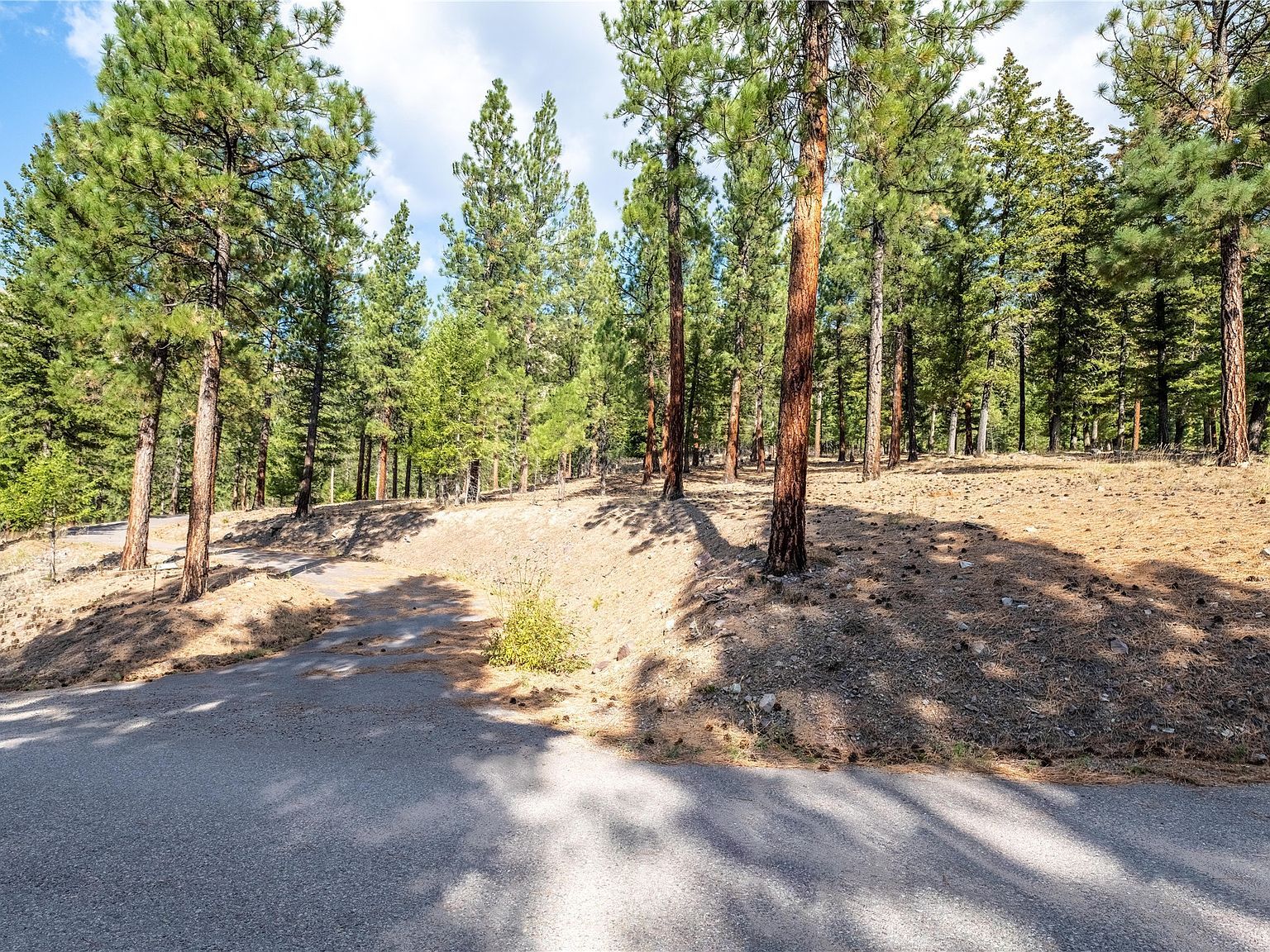 LOT 11 Stonefly Rd Clinton, MT 59825 - Thumbnail 3