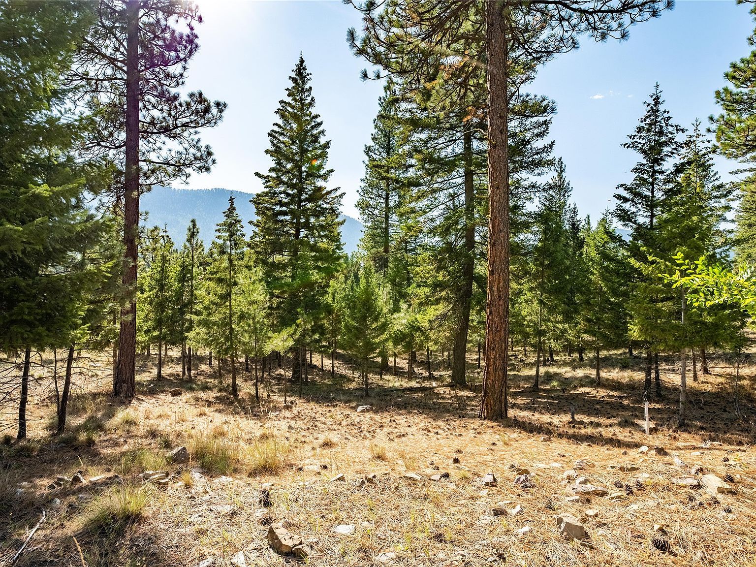 LOT 9 Stonefly Rd Clinton, MT 59825 - Thumbnail 3