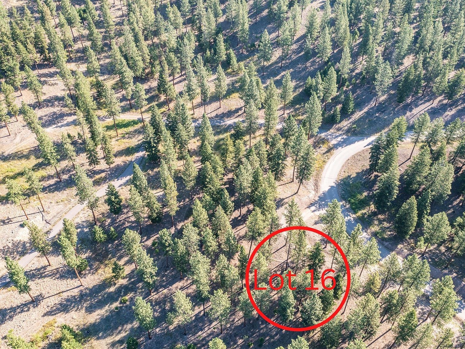 LOT 16 Stonefly Rd Clinton, MT 59825 - Thumbnail 3