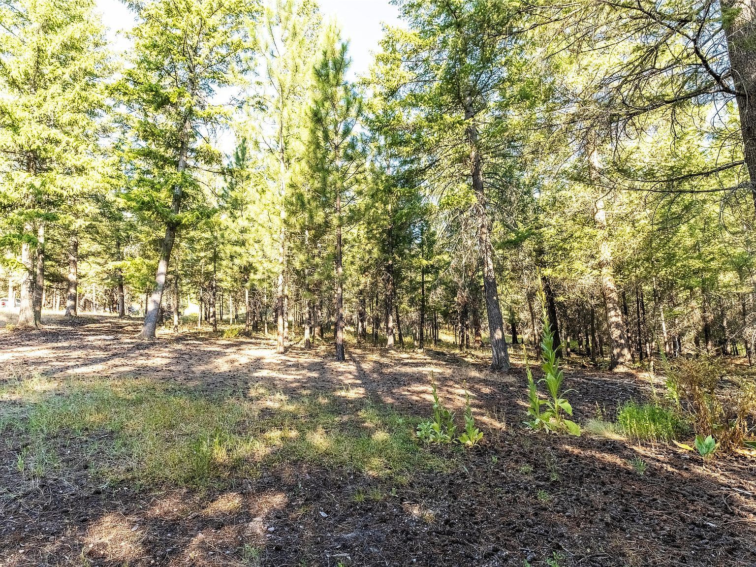 14297 Caddisfly Ct Clinton, MT 59825 - Thumbnail 3
