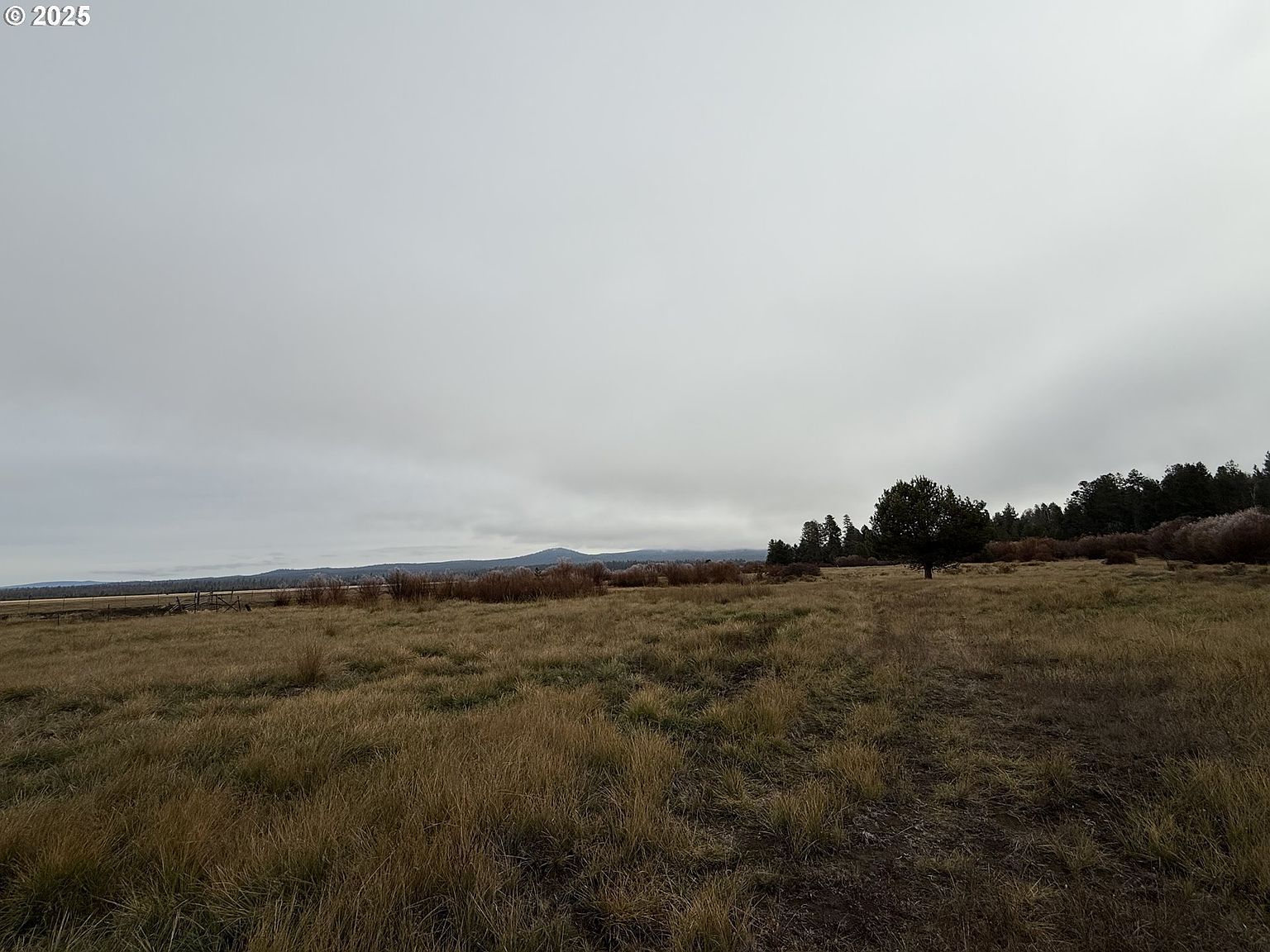 0 National Forest Rd #7646 Chiloquin, OR 97624 - Thumbnail 3