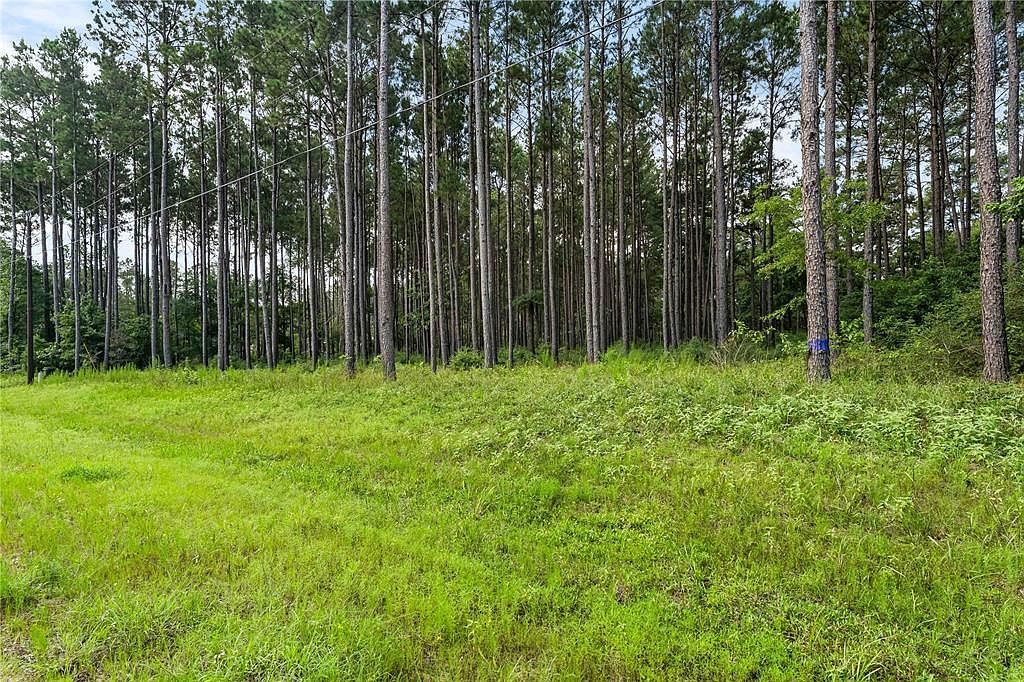 4A-16-31 Branding Iron Rd Huntsville, TX 77340 - Thumbnail 3