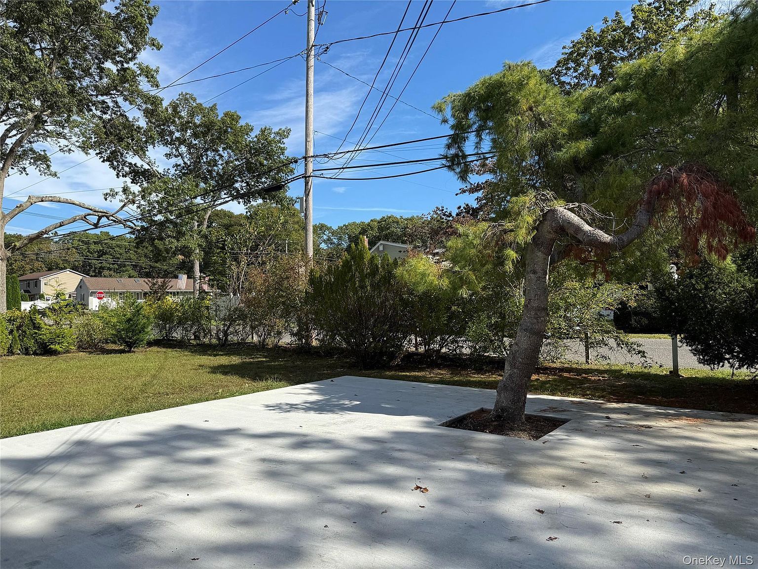 135 Forrest Ave Shirley, NY 11967 - Thumbnail 3