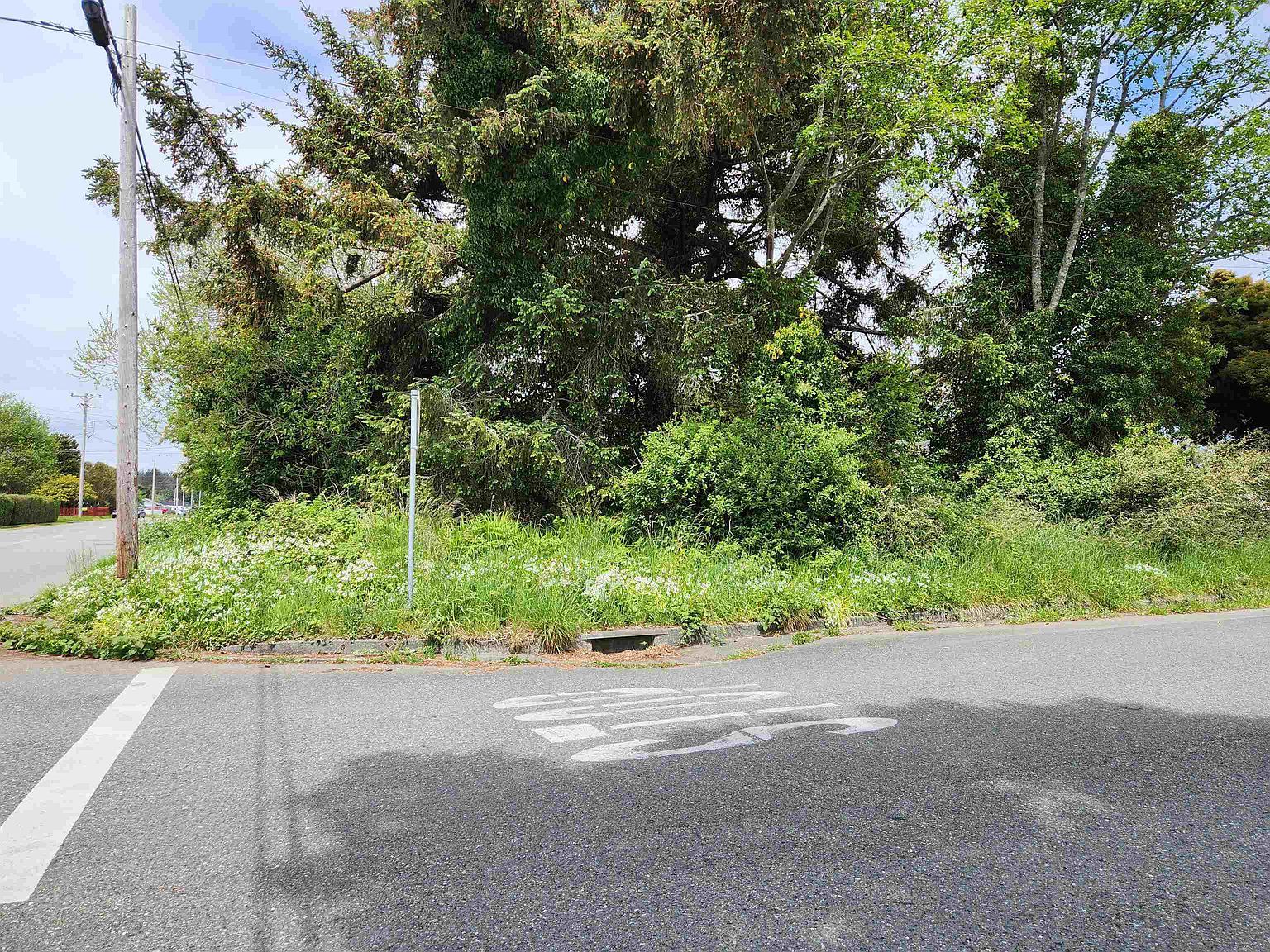 630 Glenn St Crescent City, CA 95531 - Thumbnail 3