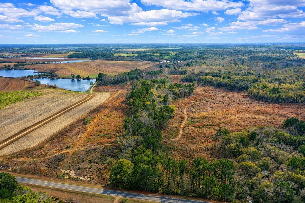 0 Omega Eldorado Rd Tifton, GA 31793 - Thumbnail 3