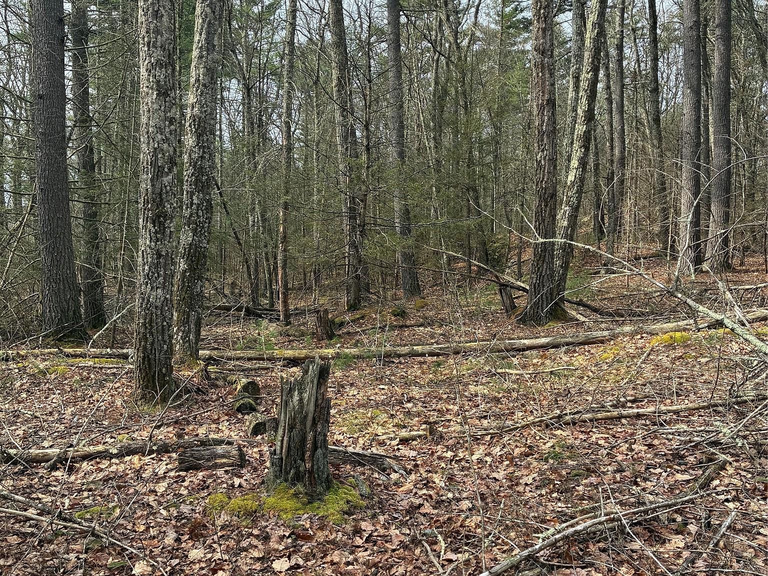 Rambling Rd Wurtsboro, NY 12790 - Thumbnail 3