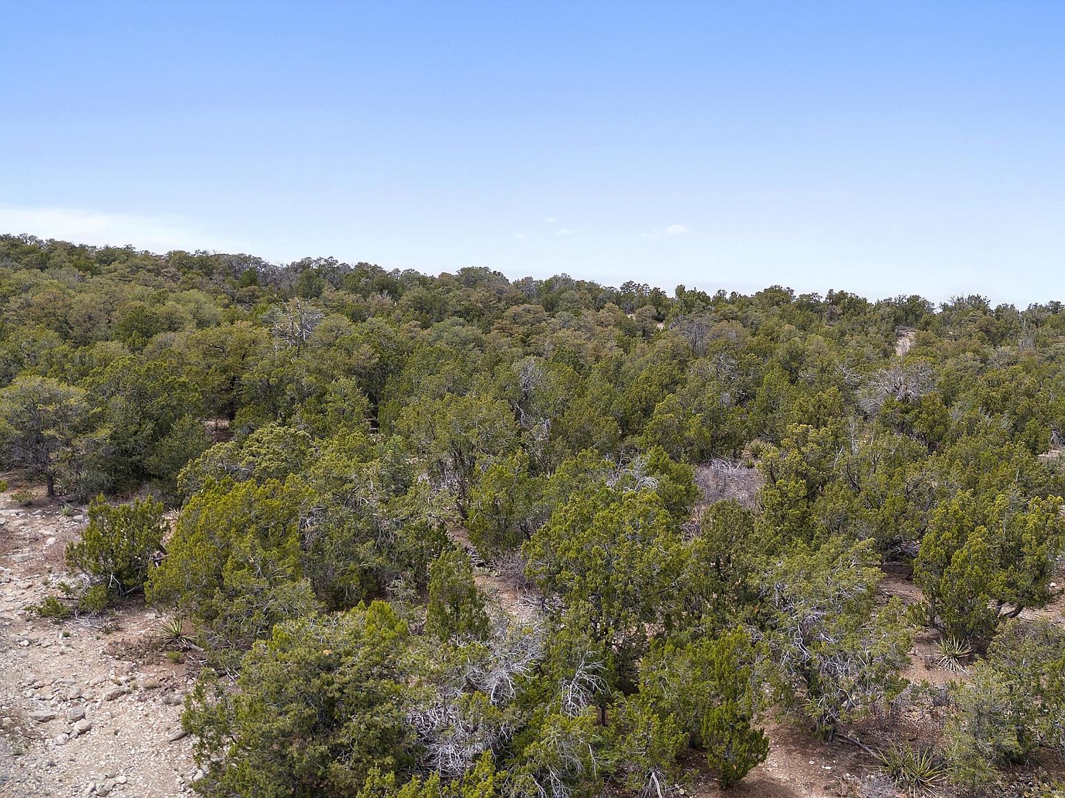 92 Bella Vista Rd Edgewood, NM 87015 - Thumbnail 3