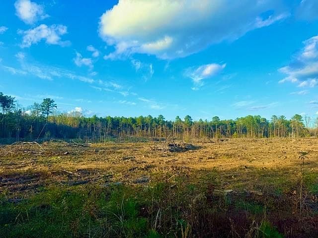 0 Ian Johnson Rd Boyce, LA 71409 - Thumbnail 3