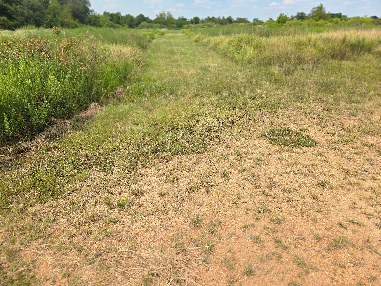 575 N Austin Rd Eagle Lake, TX 77434 - Thumbnail 3