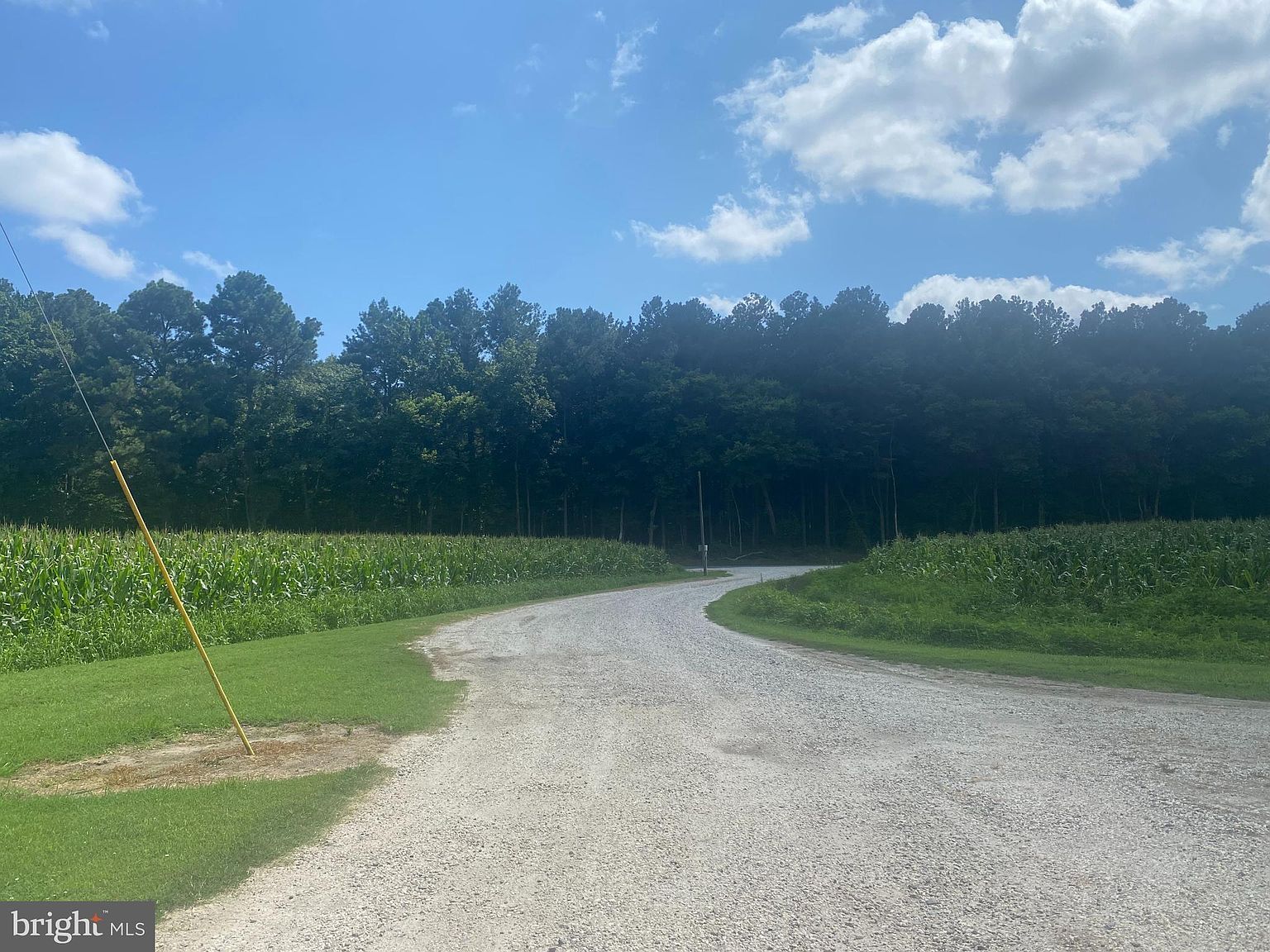 30560 Charles Barnes Rd Westover, MD 21871 - Thumbnail 3