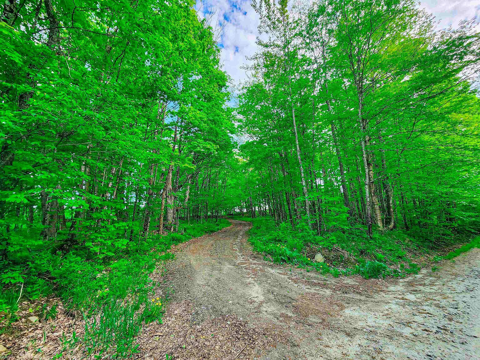 0 Tousant Hill Rd Greensboro Bend, VT 05842 - Thumbnail 3