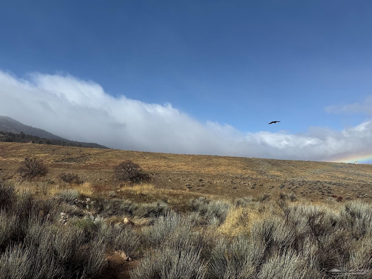 0 Summers Dr LOT 147 Tehachapi, CA 93561 - Thumbnail 3