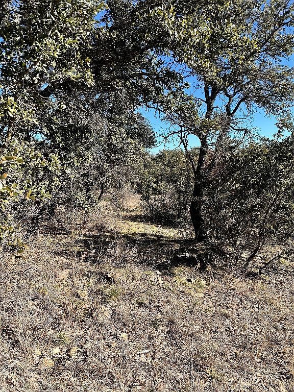 349 Oak Point Dr May, TX 76857 - Thumbnail 3