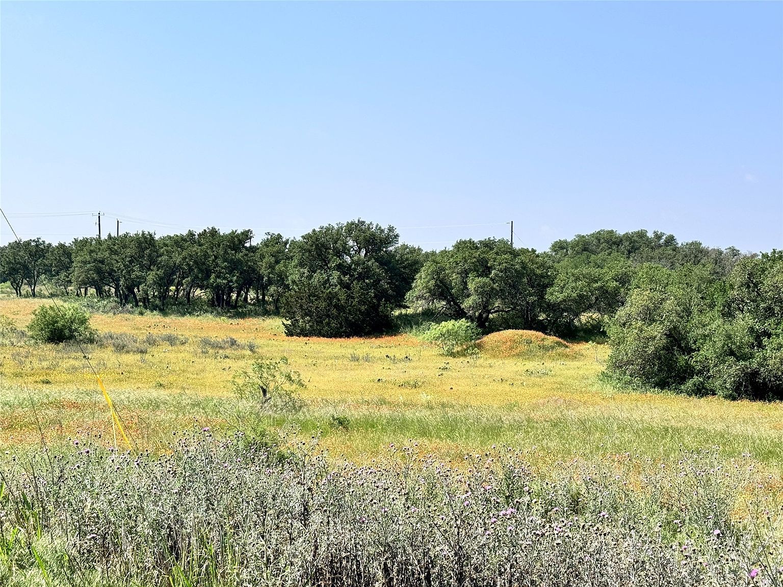 991-992 Long View Dr Brownwood, TX 76801 - Thumbnail 3