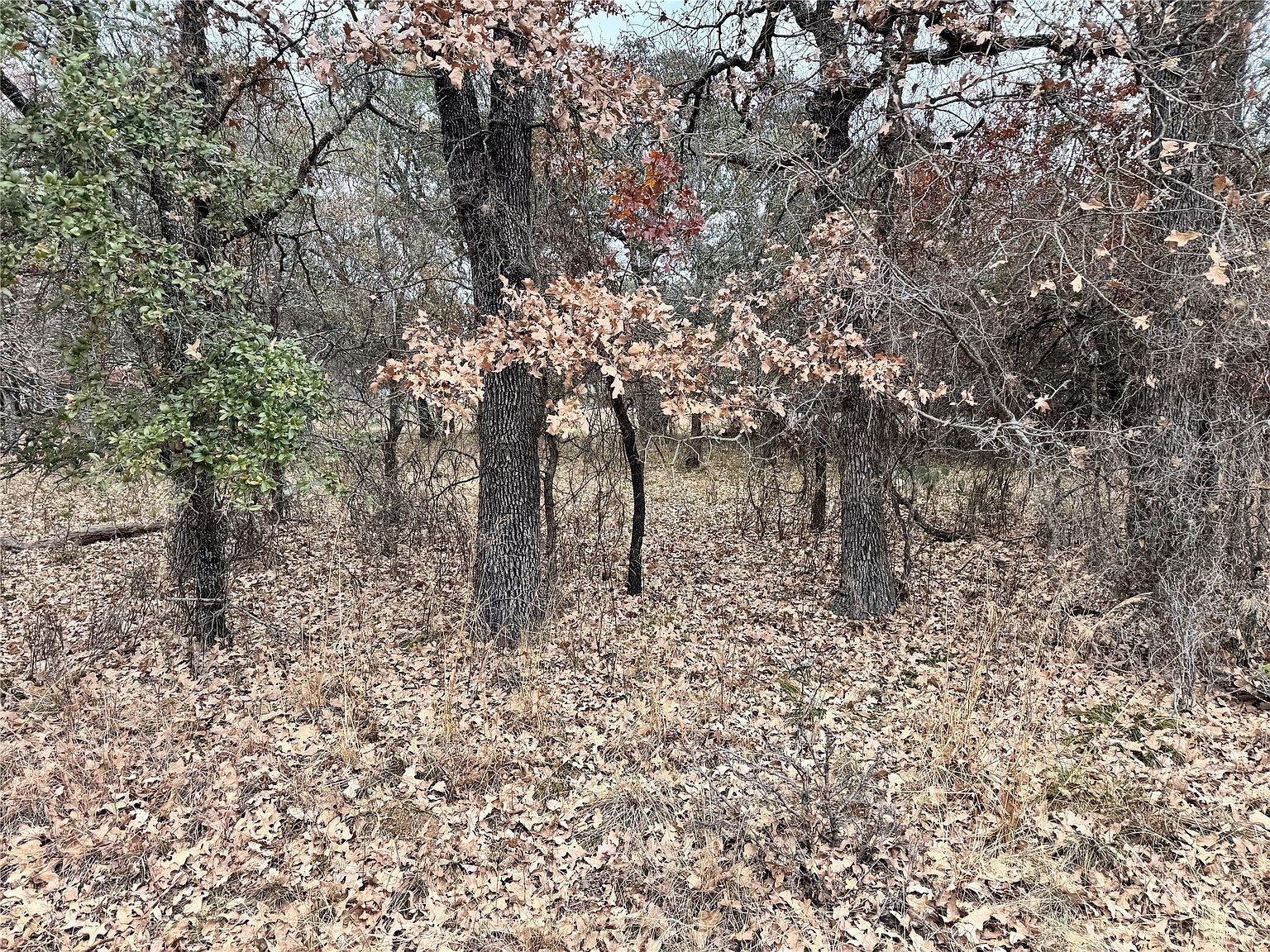 674 S Lakeside Dr May, TX 76857 - Thumbnail 3