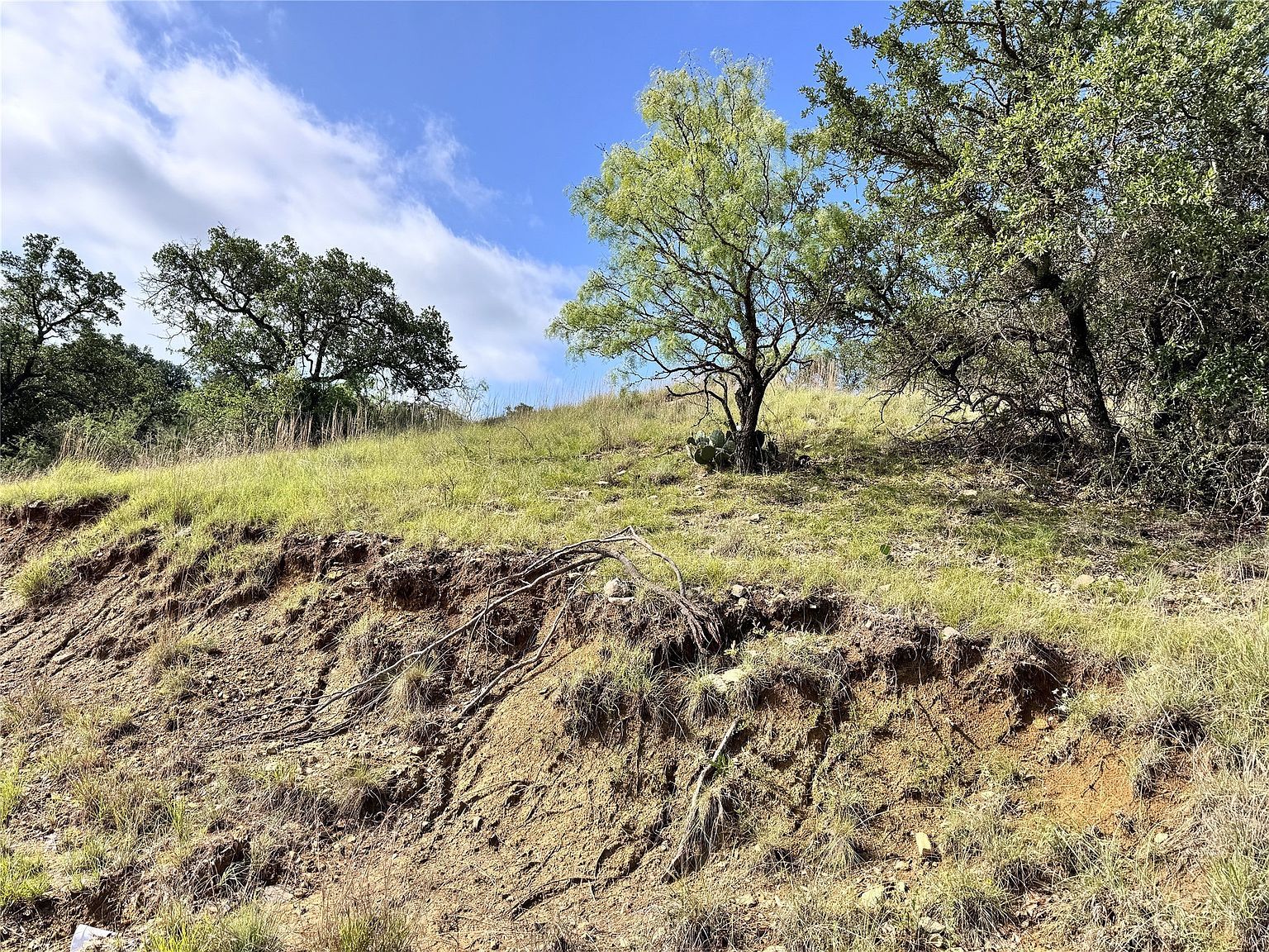 479 Oak Point Dr May, TX 76857 - Thumbnail 3