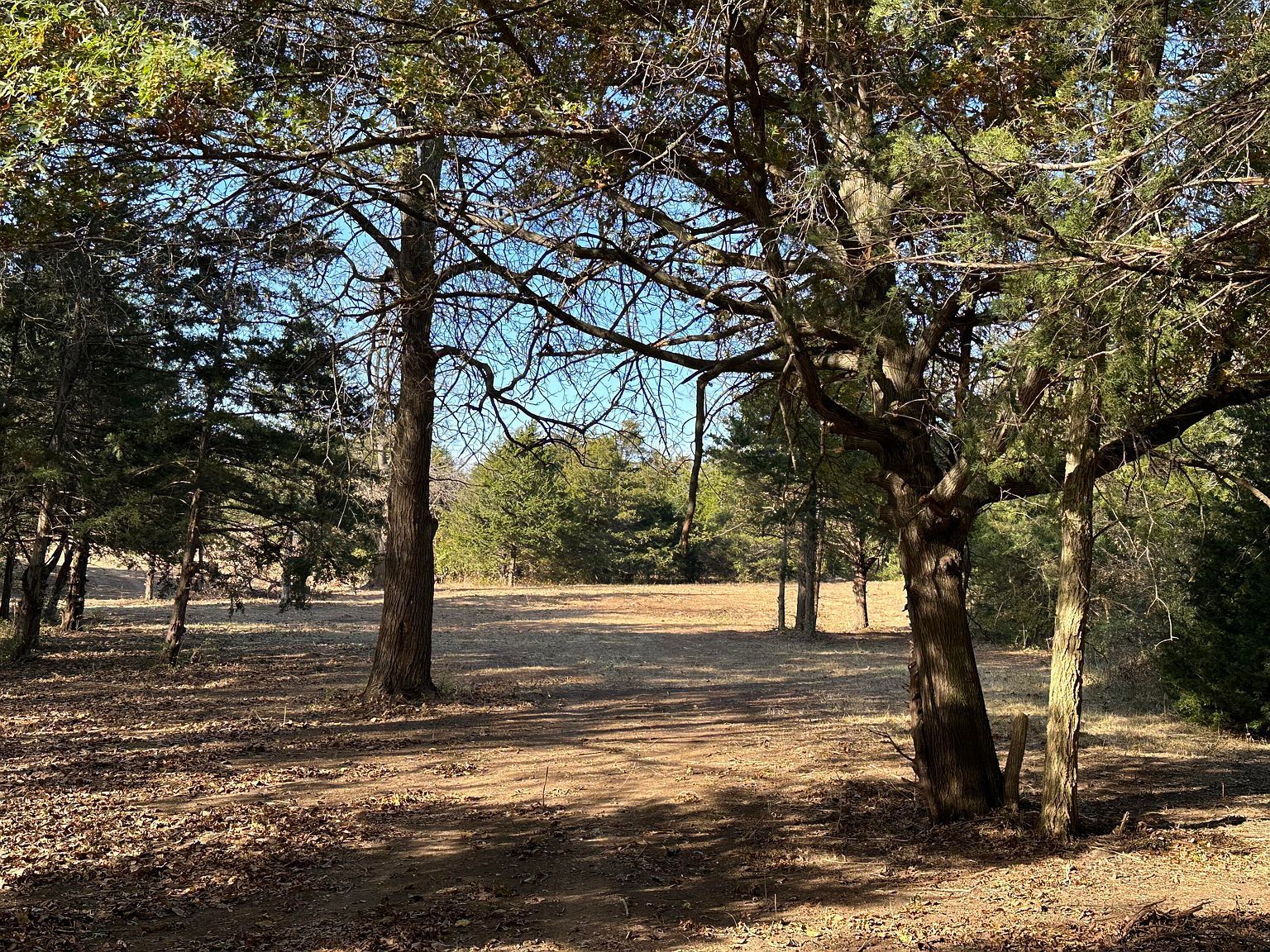 10 Tract 10b Ave #935 Mexico, MO 65265 - Thumbnail 3