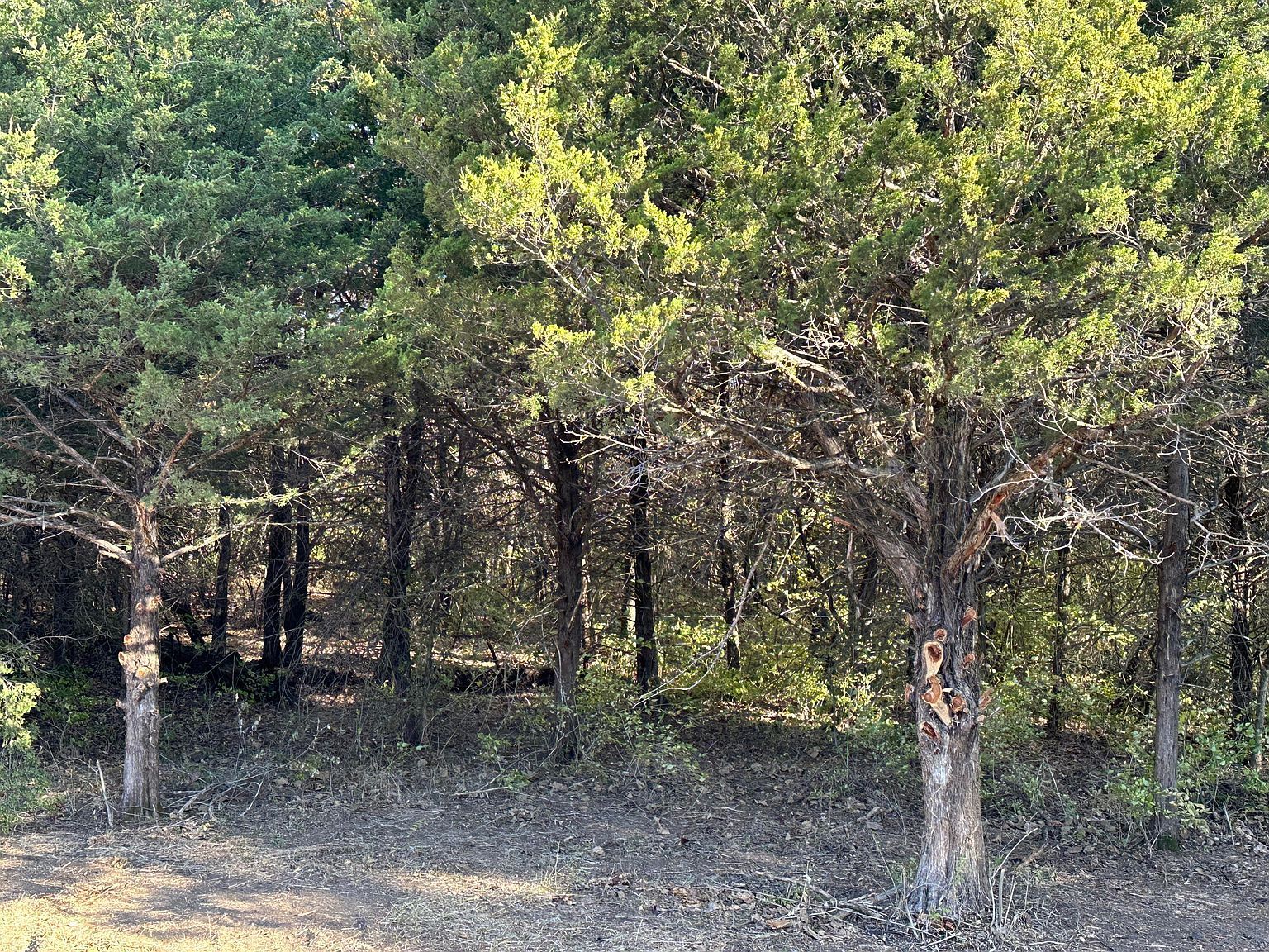 2 Audrain Rd Tract 2B Mexico, MO 65265 - Thumbnail 3