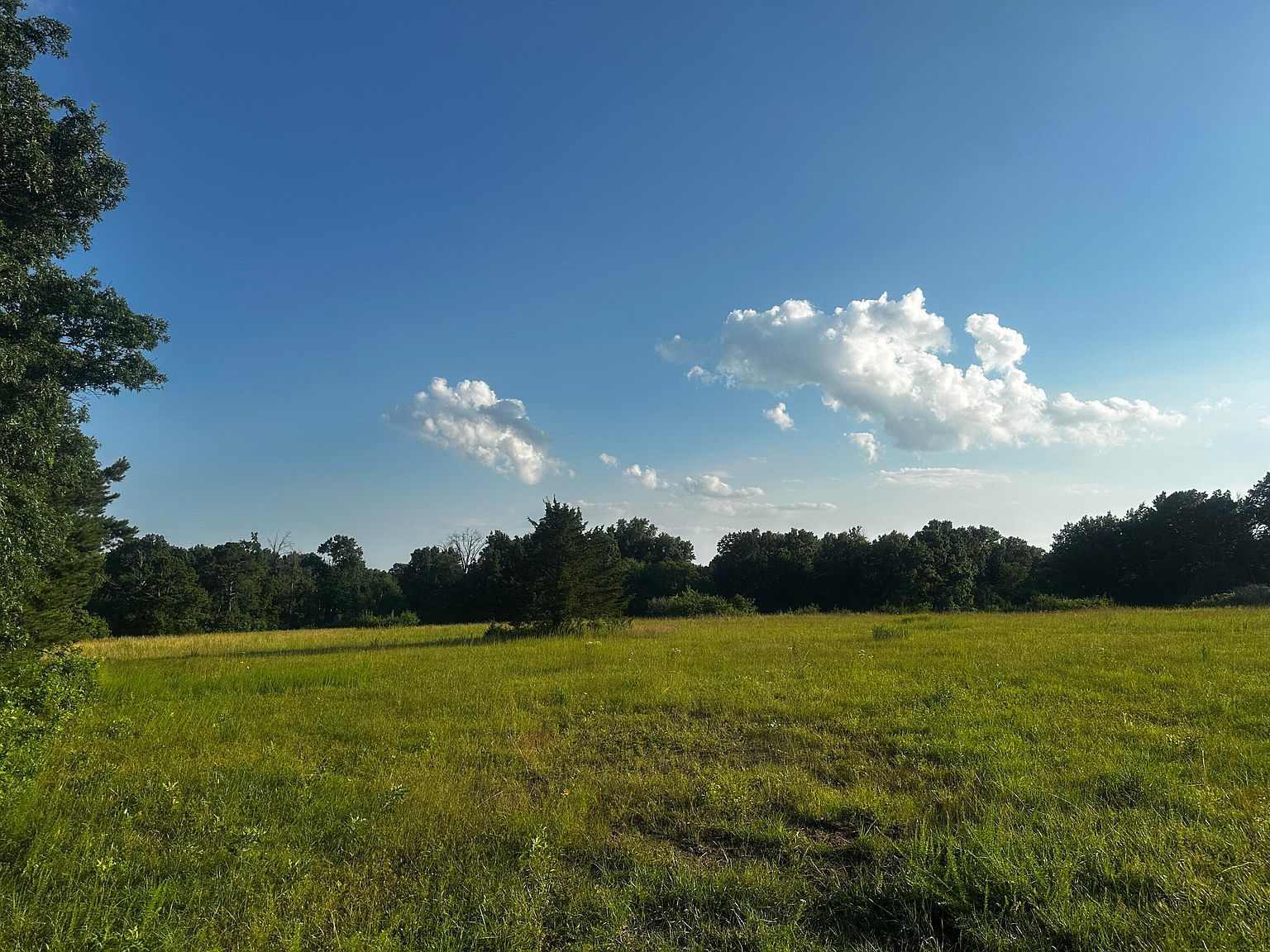 TRACT 1C Audrain Rd #935 Mexico, MO 65265 - Thumbnail 3