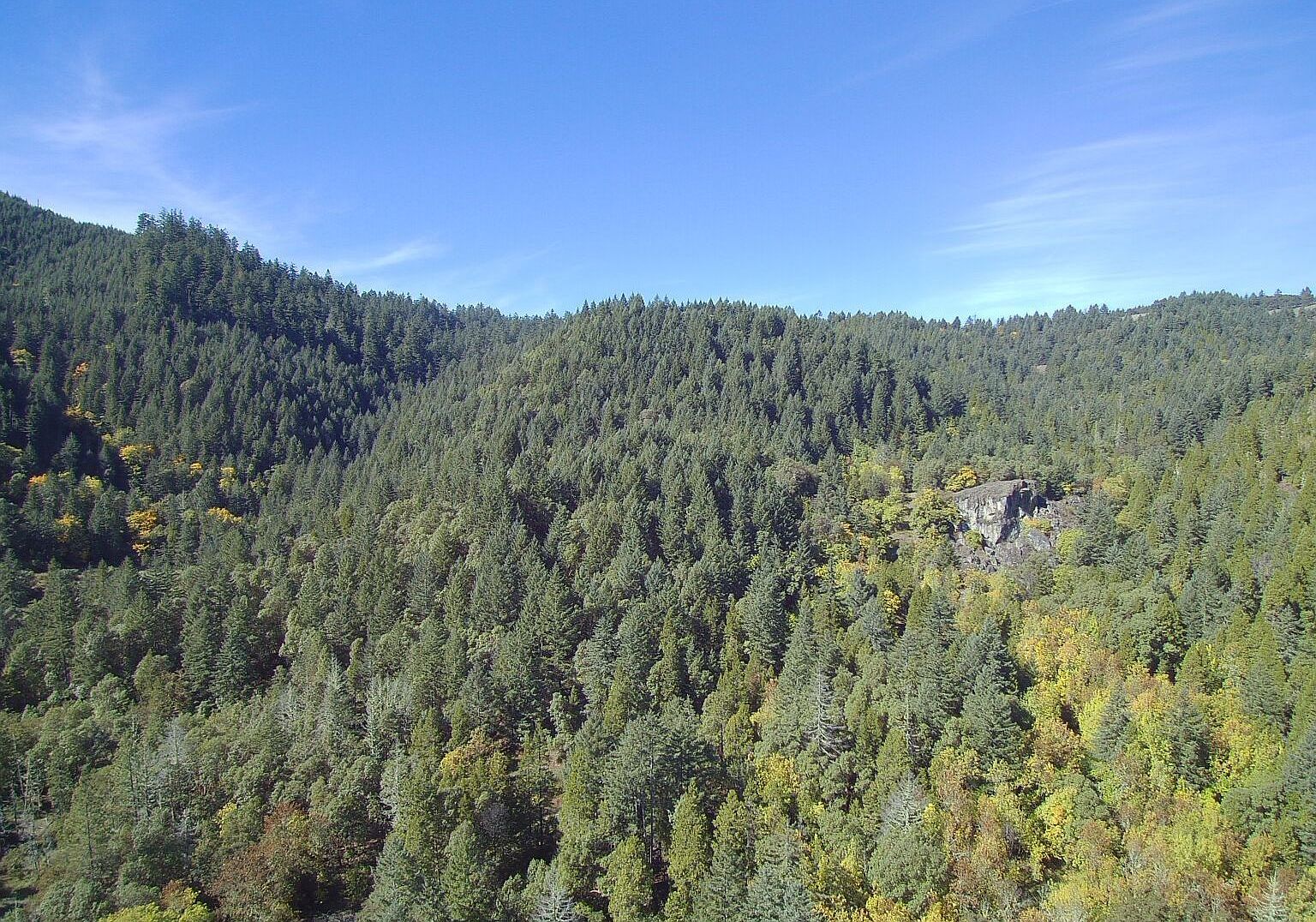 0 Bilger Creek Rd Myrtle Creek, OR 97457 - Thumbnail 3