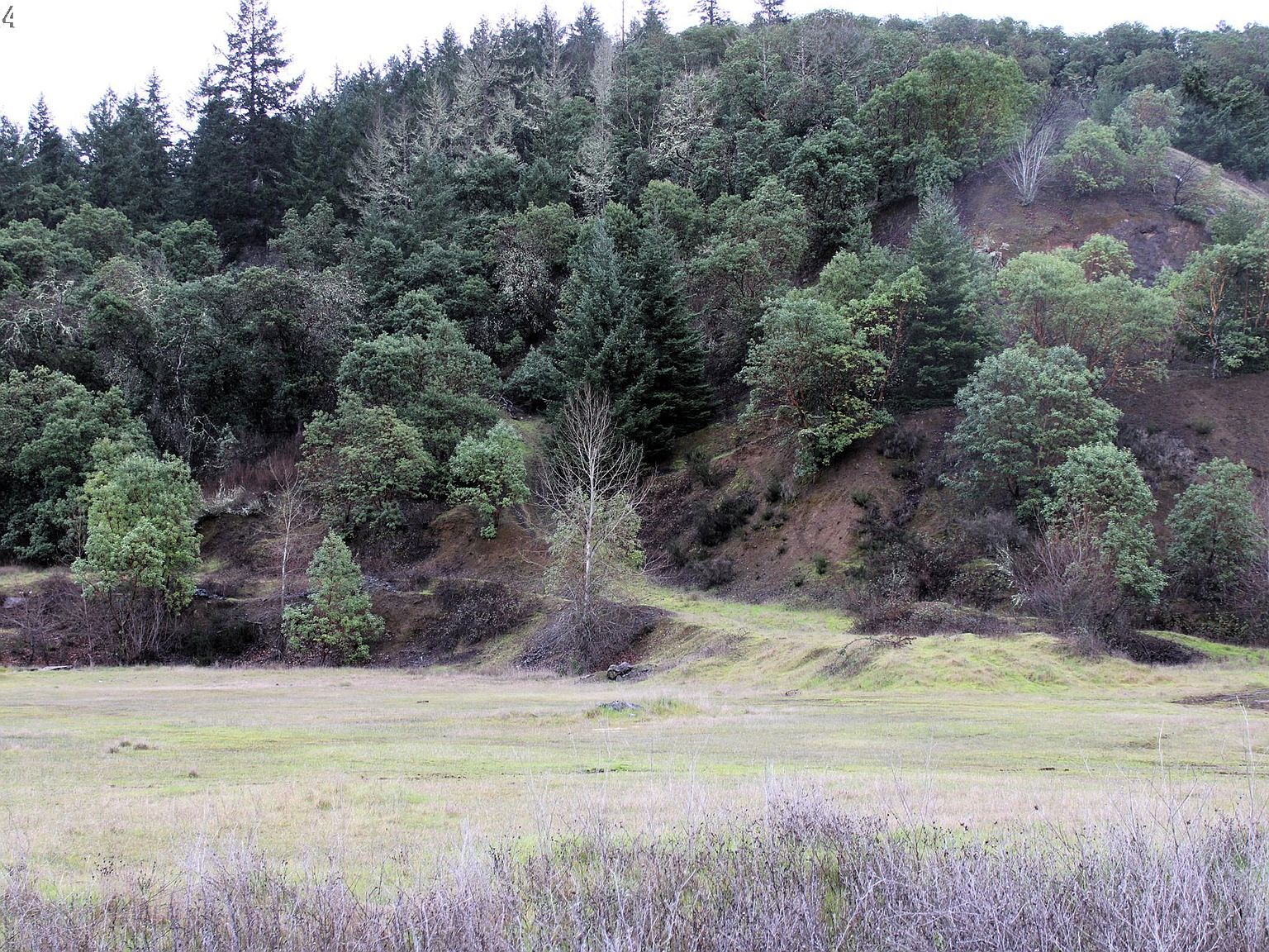 0 Horizon Ln Myrtle Creek, OR 97457 - Thumbnail 3