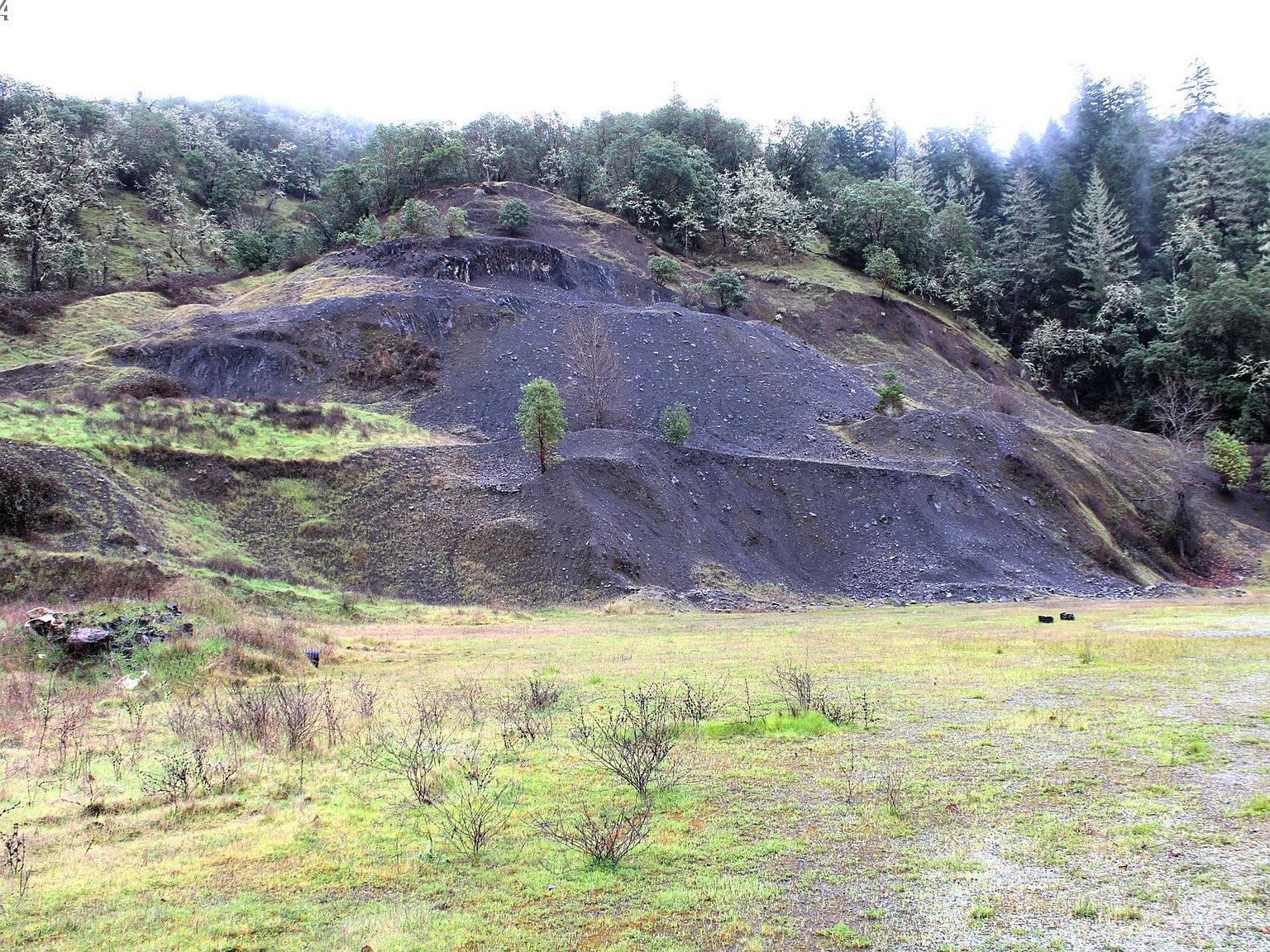 0 Yokum Rd Riddle, OR 97469 - Thumbnail 3