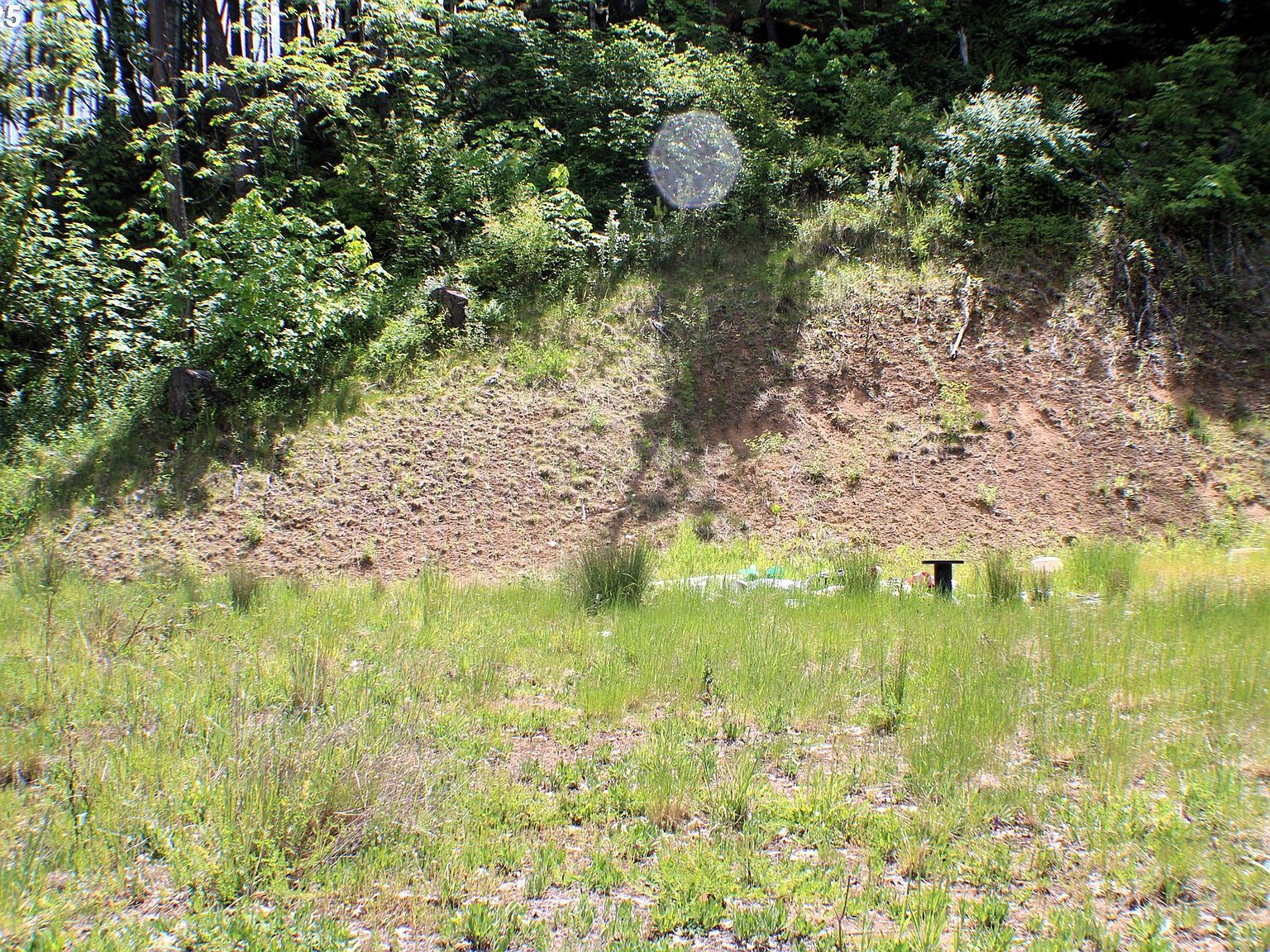 1482 Canyonville Riddle Rd Riddle, OR 97469 - Thumbnail 3