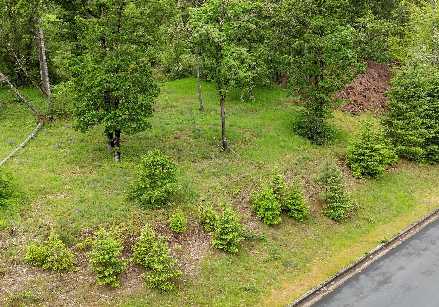 1117 Larae Dr Cottage Grove, OR 97424 - Thumbnail 3