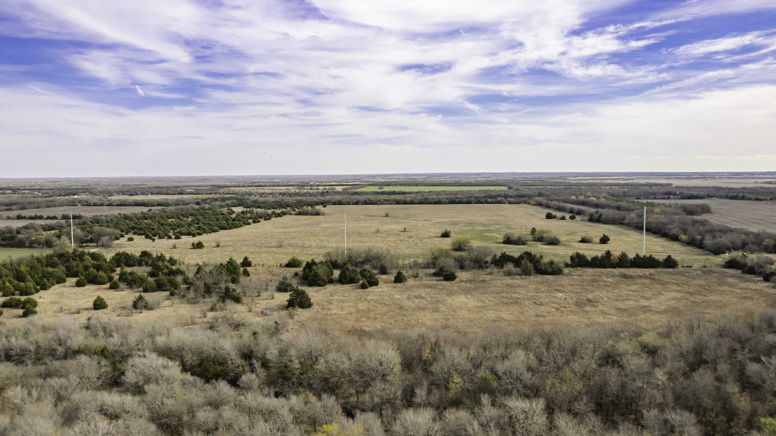 TBD County Rd 3725, Bailey, TX, 75413 - Thumbnail 3