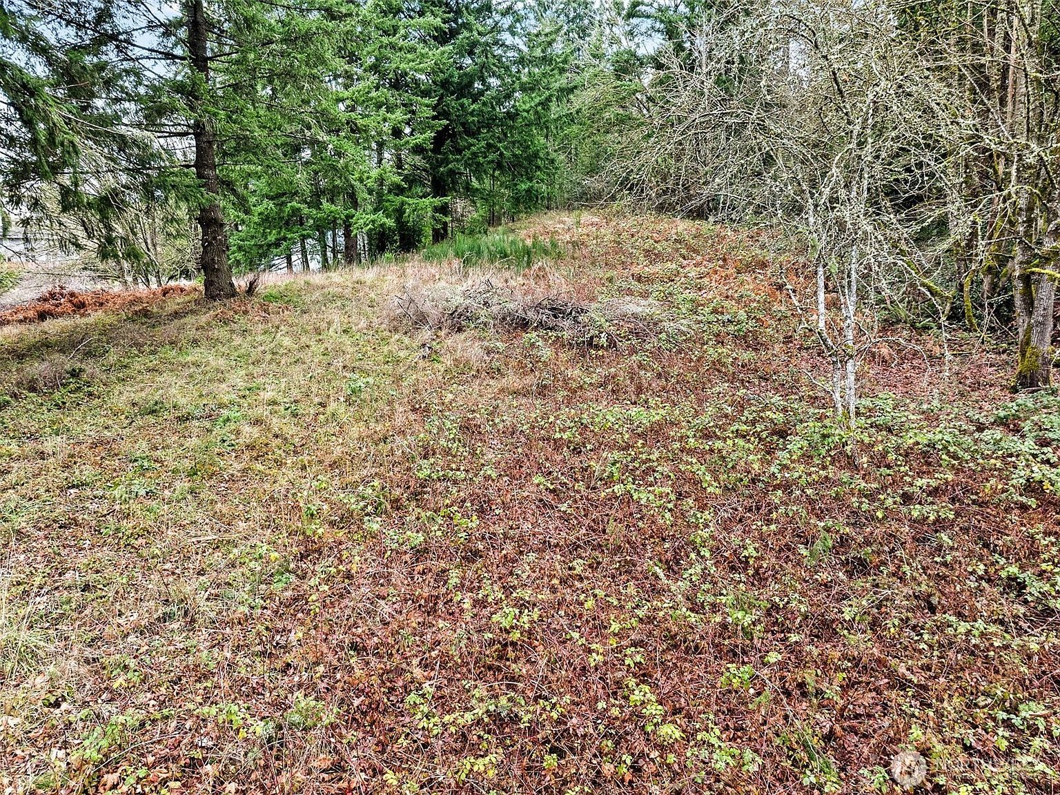 7 N 7th Ave SW Olympia, WA 98512 - Thumbnail 3