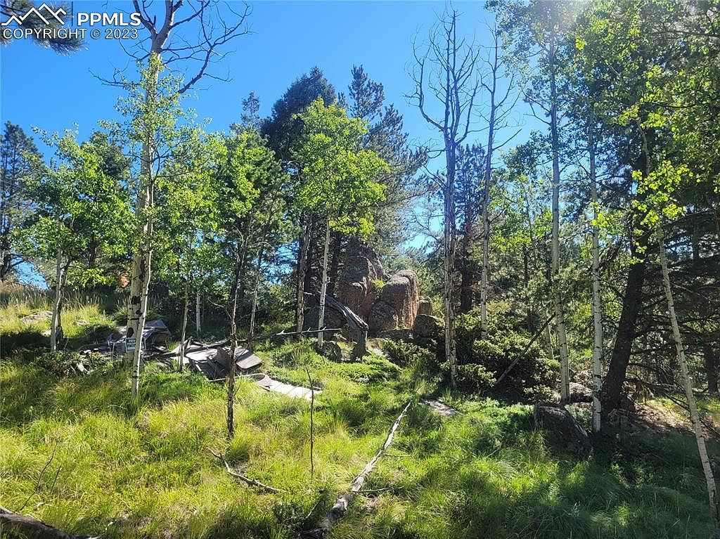3168 N Mountain Estates Rd Florissant, CO 80816 - Thumbnail 3