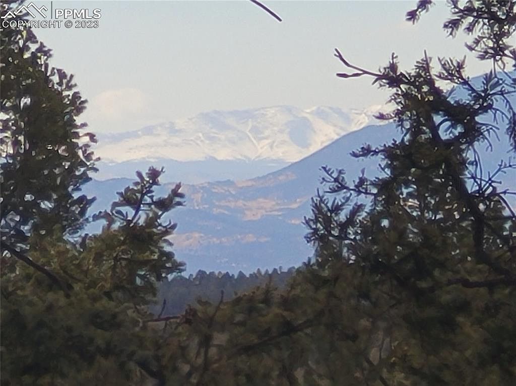 329 Paradiso Rd Divide, CO 80814 - Thumbnail 3