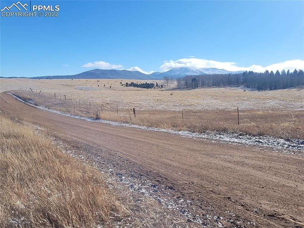 589 Maid Marian Dr Divide, CO 80814 - Thumbnail 3