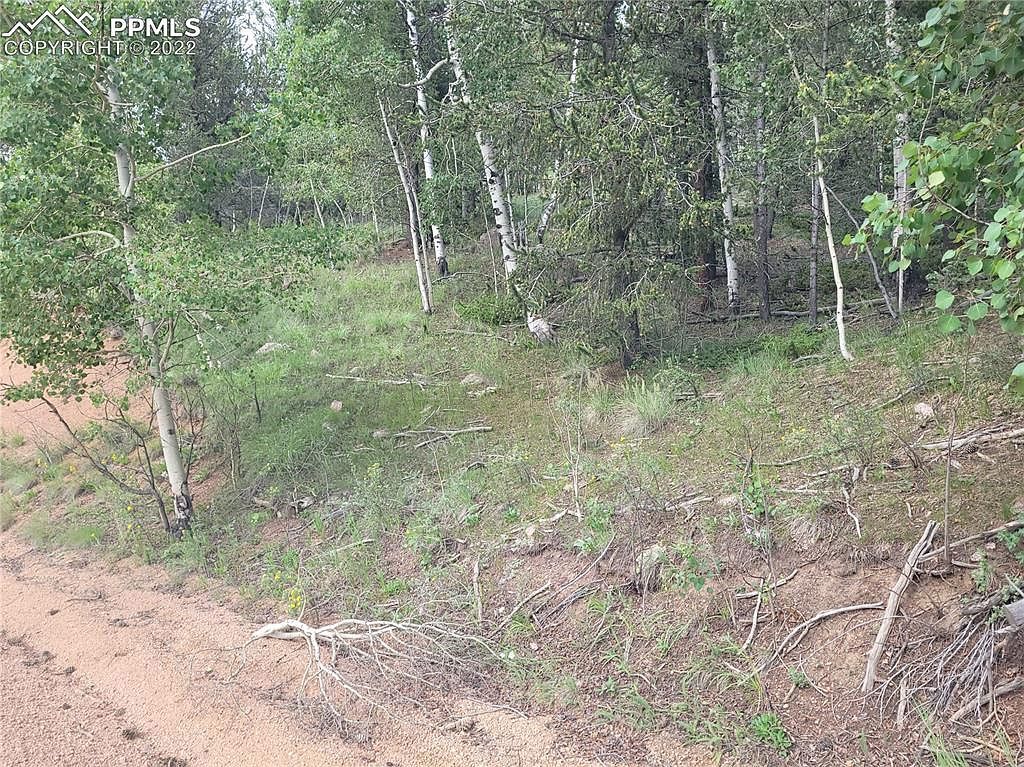 2455 Yorktown Rd Cripple Creek, CO 80813 - Thumbnail 3