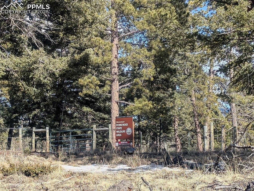 56 Rampart Cir Florissant, CO 80816 - Thumbnail 3