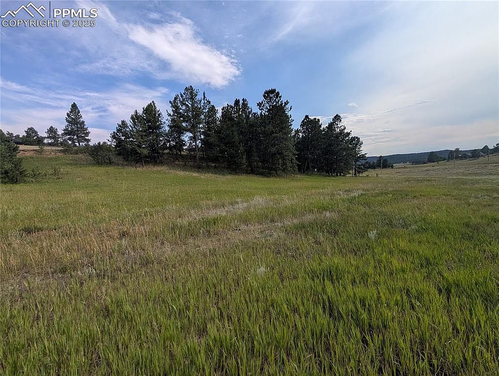 1379 S Mountain Estates Rd Florissant, CO 80816 - Thumbnail 3