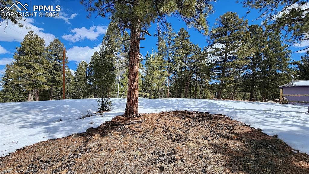 178 Gerka Ln Florissant, CO 80816 - Thumbnail 3