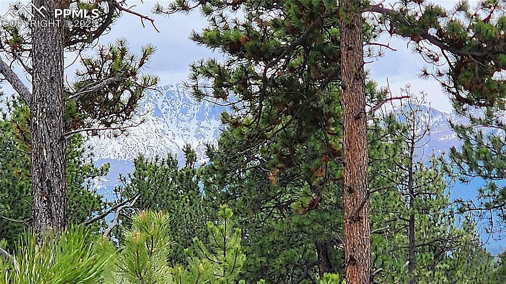 210 Bridlewood Ln Woodland Park, CO 80863 - Thumbnail 3