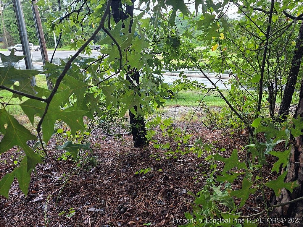 1261 Bingham Dr Fayetteville, NC 28304 - Thumbnail 3