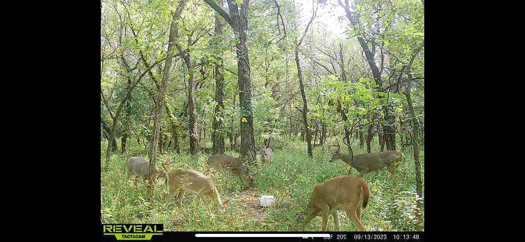 0 N G St Niotaze, KS 67355 - Thumbnail 3