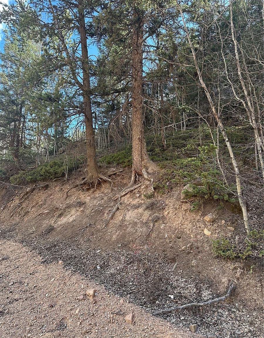 County Road 61 Dr Florissant, CO 80816 - Thumbnail 3