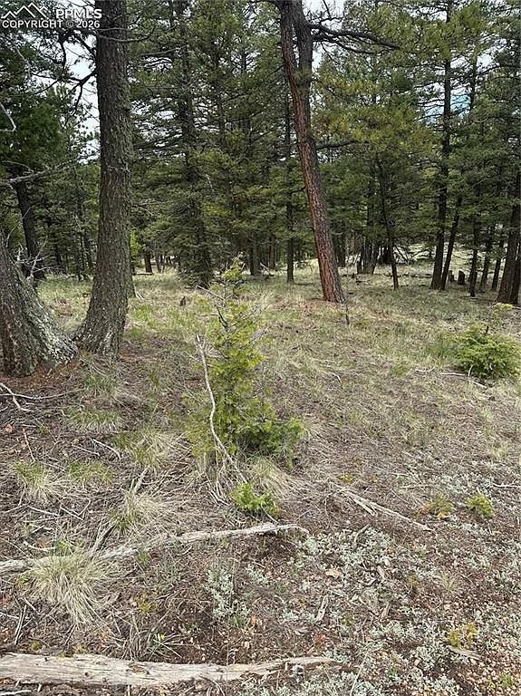 1120/1086 N Mountain Estates Rd Florissant, CO 80816 - Thumbnail 3