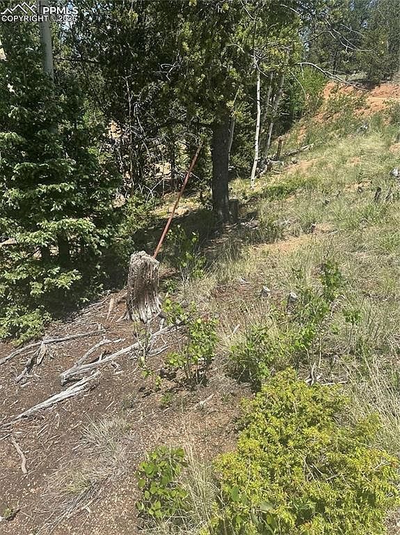 110 Brown Bear Ln Cripple Creek, CO 80813 - Thumbnail 3