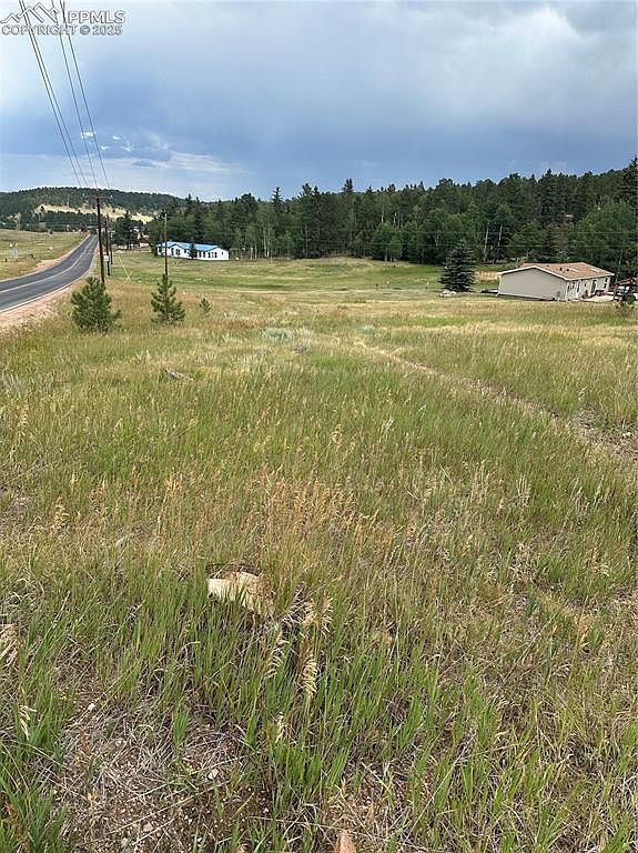 17 Deer Ridge Trl #33 Florissant, CO 80816 - Thumbnail 3