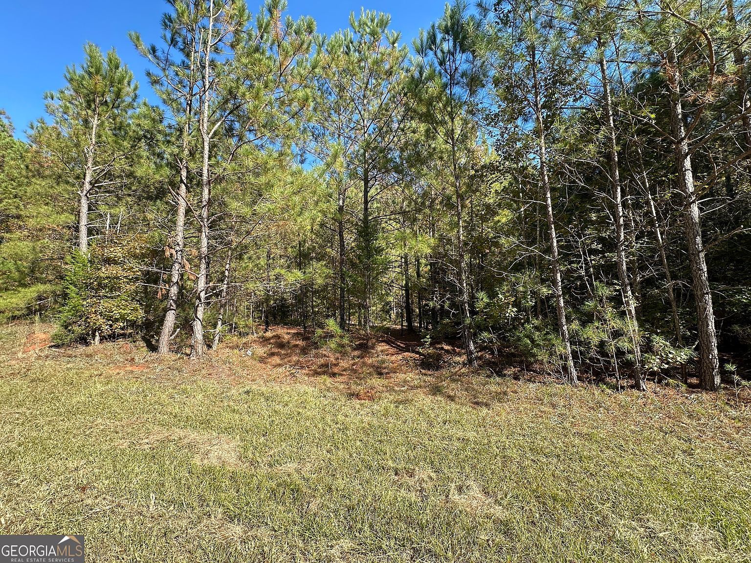 0 Crook Rd Lincolnton, GA 30817 - Thumbnail 3