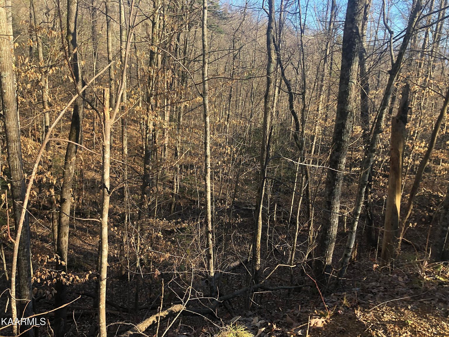 LOT 68 Yellowwood Dr Sevierville, TN 37876 - Thumbnail 3