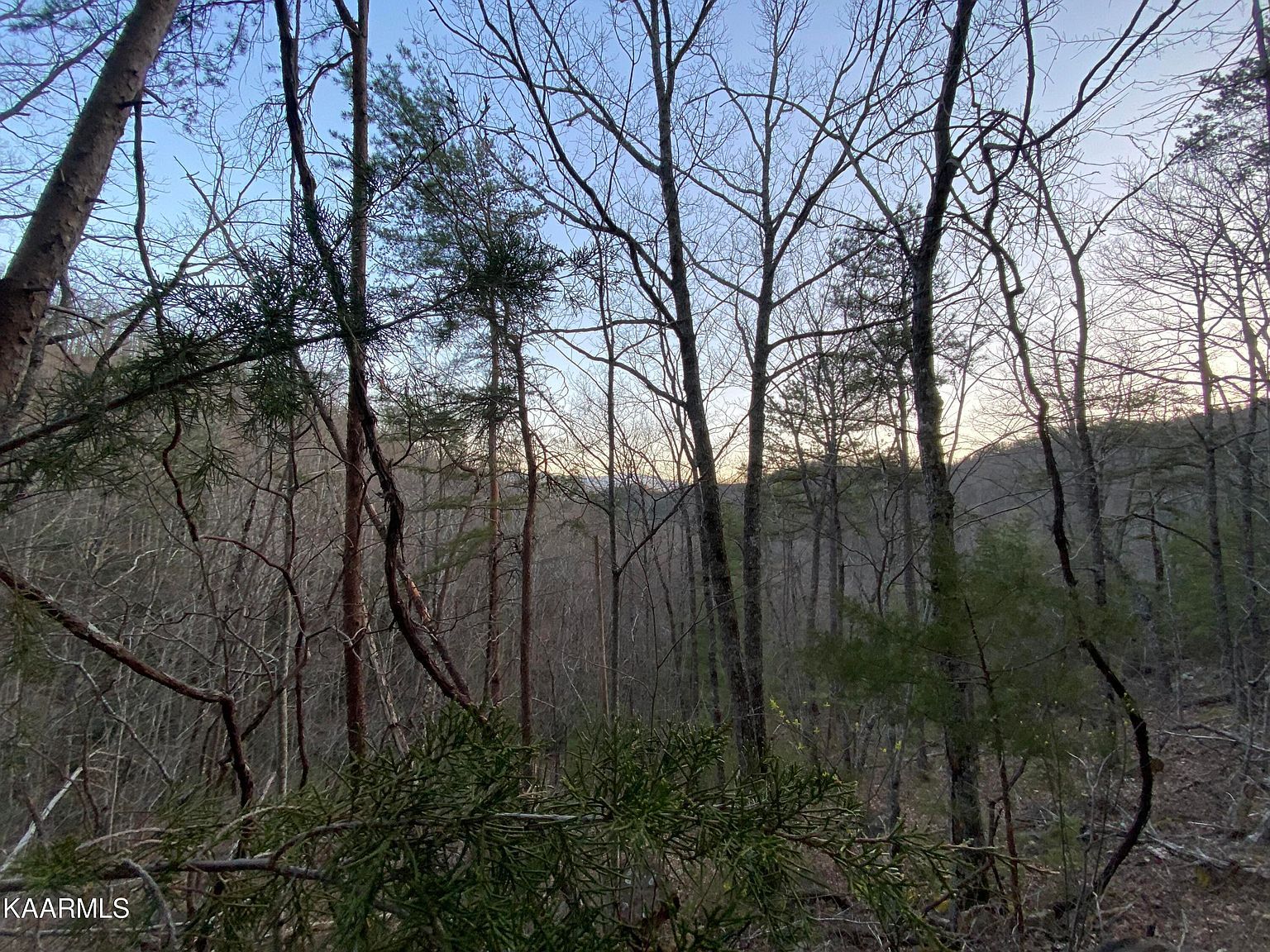 LOT 46 Beechwood Ln Sevierville, TN 37876 - Thumbnail 3
